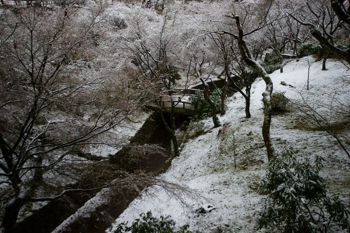 雪残る東福寺　通天橋_e0177413_102827100.jpg