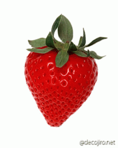 a0232619_167257.gif