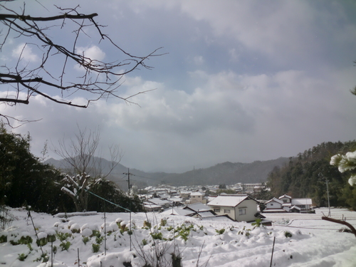 d0125228_2330256.jpg