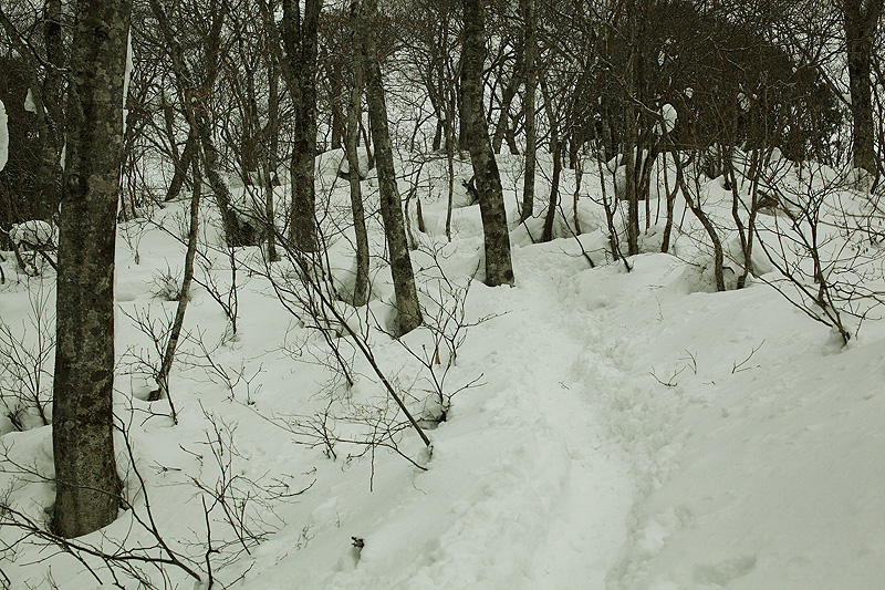 c0313231_14562692.jpg