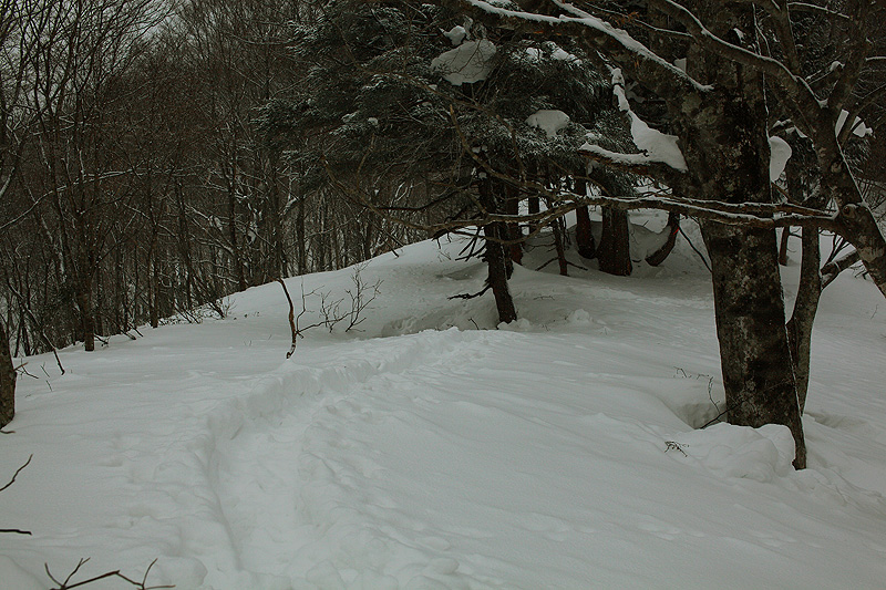 c0313231_1457060.jpg