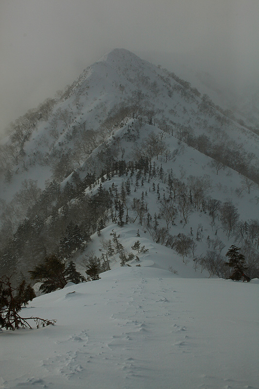 c0313231_15115612.jpg
