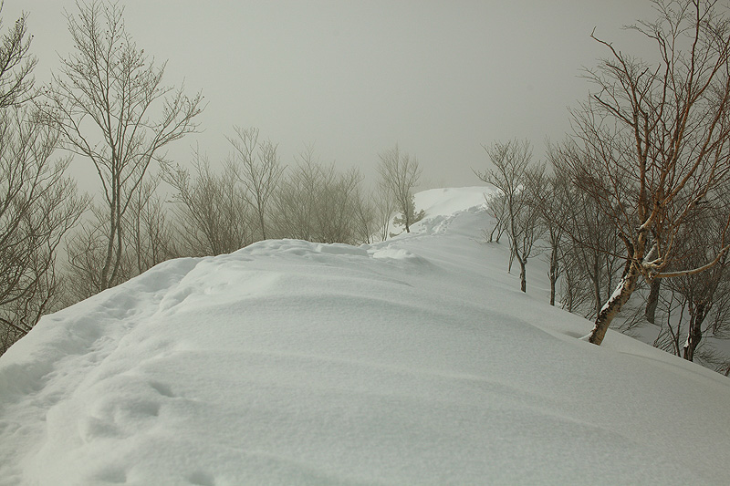 c0313231_15512.jpg