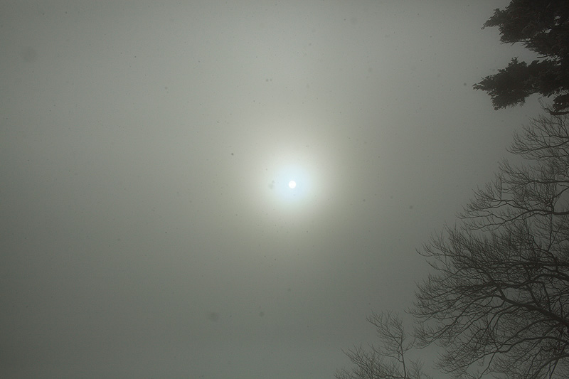 c0313231_1552823.jpg