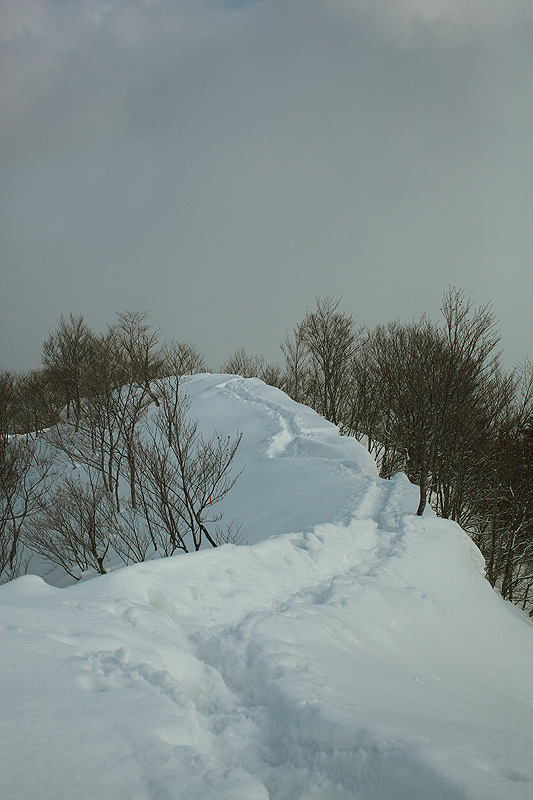 c0313231_1572839.jpg