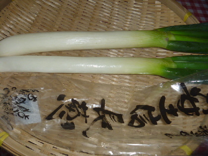b0246036_15244183.jpg