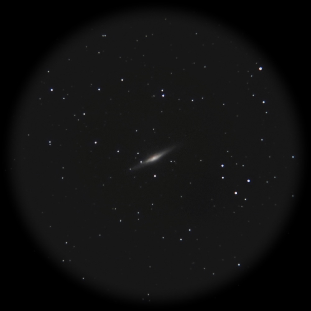 NGC2683銀河 2014_b0167343_1142691.jpg