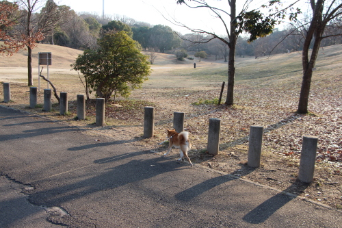 f0245650_08273106.jpg