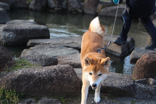 f0245650_08362733.jpg