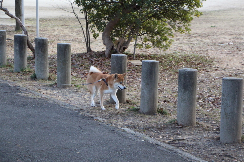 f0245650_08394665.jpg