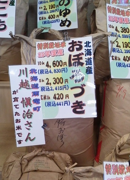 交流_d0154957_11363566.jpg