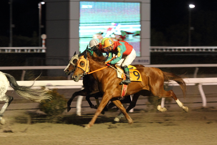 永森大智騎手、地方競馬通算700勝達成～_a0077663_17533962.jpg