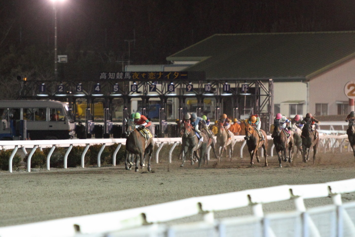 永森大智騎手、地方競馬通算700勝達成～_a0077663_17534370.jpg