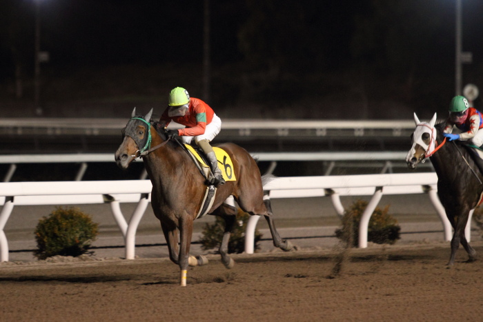 永森大智騎手、地方競馬通算700勝達成～_a0077663_17534578.jpg