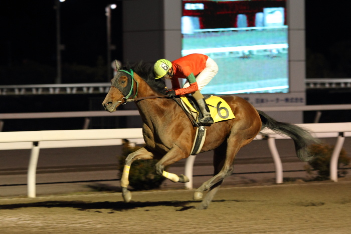 永森大智騎手、地方競馬通算700勝達成~_a0077663_17534777.jpg