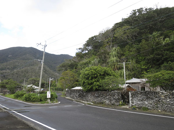 西古見、観測所跡から、クジラ発見！_b0062363_2050117.jpg