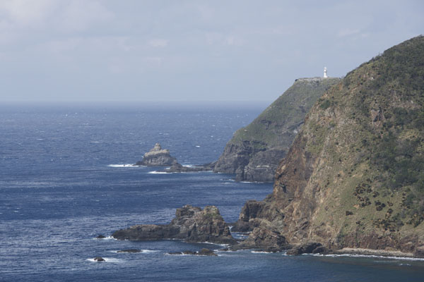 西古見、観測所跡から、クジラ発見！_b0062363_218015.jpg