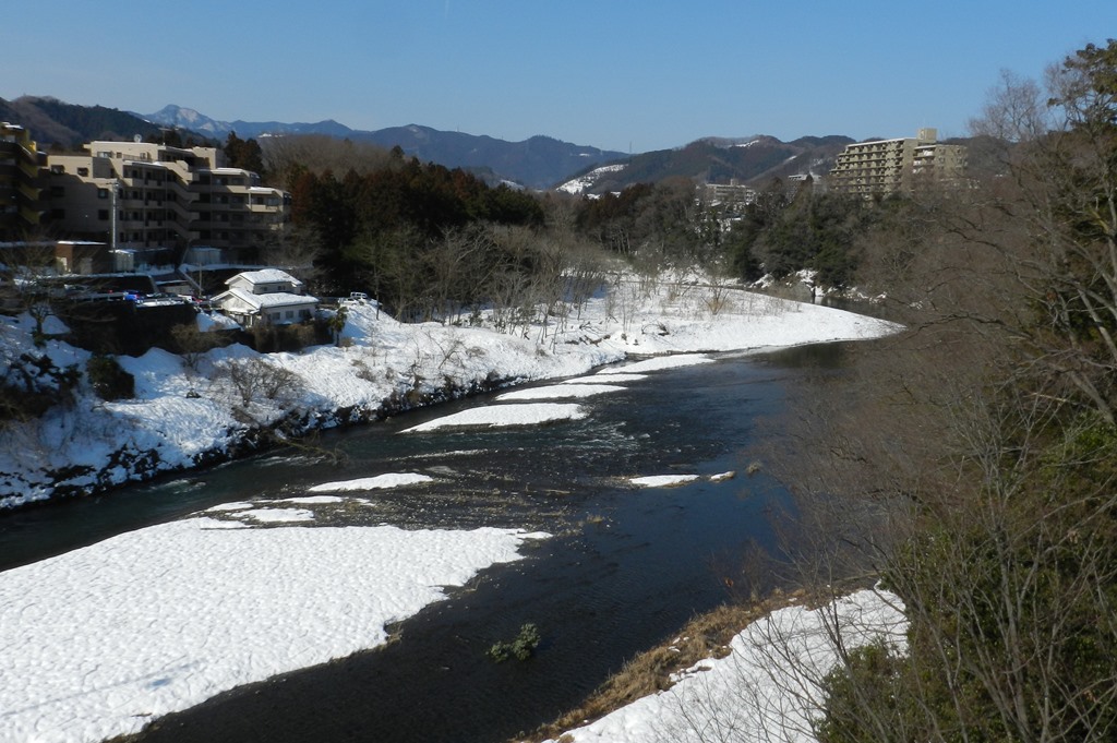 青梅から花鳥風景2月_b0311071_21460338.jpg