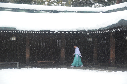 大雪　明治神宮　１４年２月１５日　００５_a0043276_518531.jpg