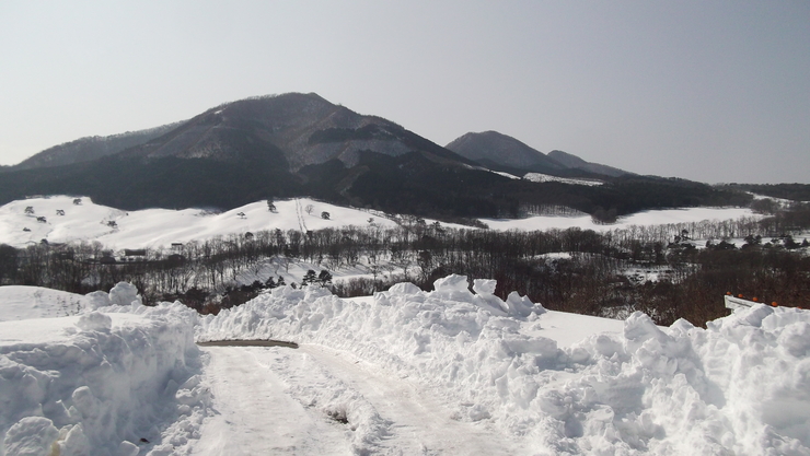 c0212083_21341681.jpg