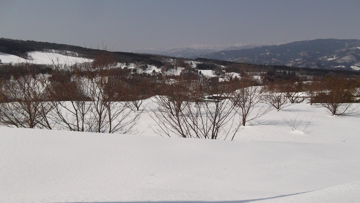 c0212083_21363616.jpg