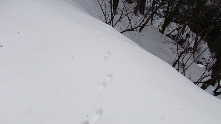 c0212083_2201991.jpg