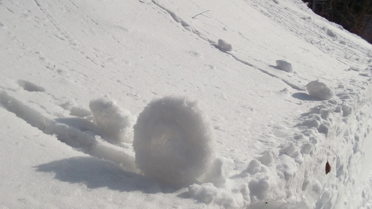 c0212083_2211447.jpg