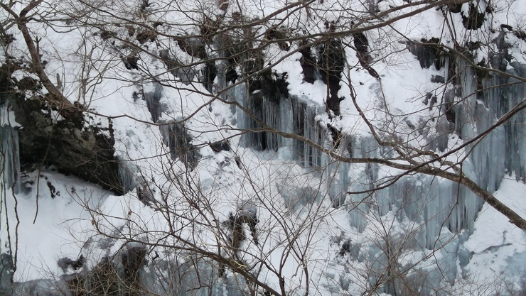 c0212083_2275936.jpg