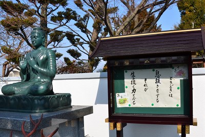 龍雲寺の早春　梅・寒菖蒲_c0229483_22232173.jpg