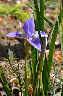 c0229483_22242437.jpg