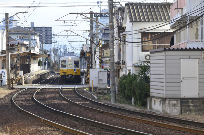 ☆銘玉紹介 「Ai NIKKOR 105mm f2.5」 : 一写入魂 ☆銘玉紹介 「Ai NIKKOR 105mm f2.5」 : 一写入魂