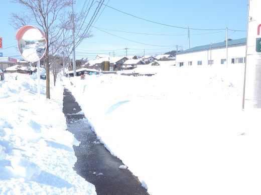 大雪の中の感動(@_@。_a0211886_131378.jpg