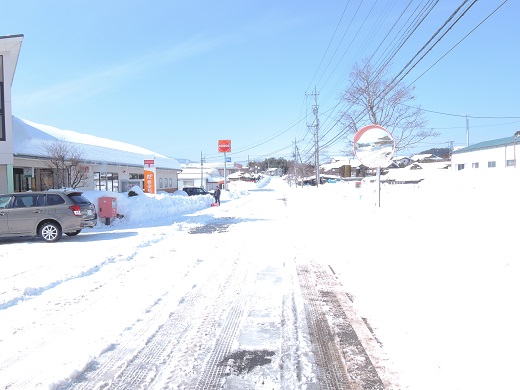大雪の中の感動(@_@。_a0211886_1341693.jpg