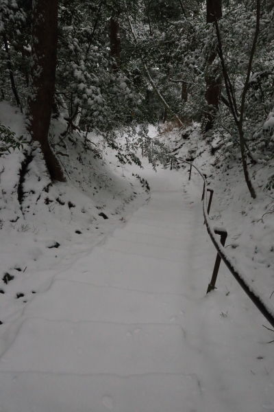 鞍馬寺 ~後編~_e0051888_1735599.jpg