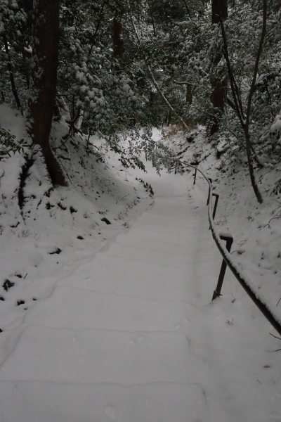 鞍馬寺　～後編～_e0051888_1735599.jpg