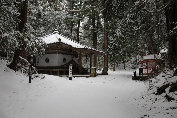鞍馬寺 ~後編~_e0051888_1744795.jpg