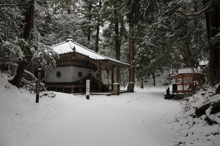 鞍馬寺　～後編～_e0051888_1744795.jpg