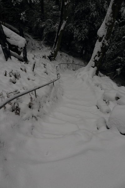 鞍馬寺　～後編～_e0051888_1753586.jpg