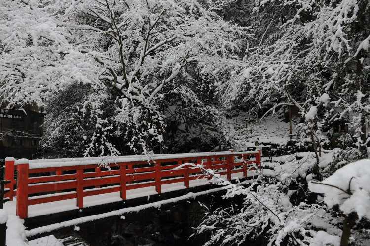 鞍馬寺 ~後編~_e0051888_1764393.jpg