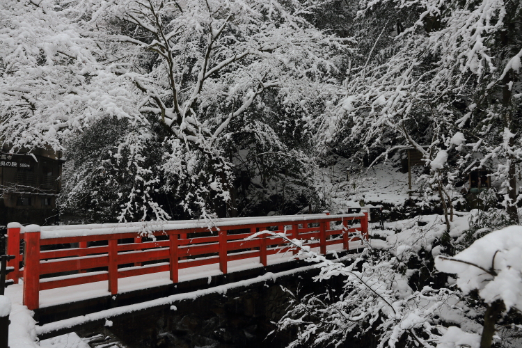 鞍馬寺　～後編～_e0051888_1764393.jpg