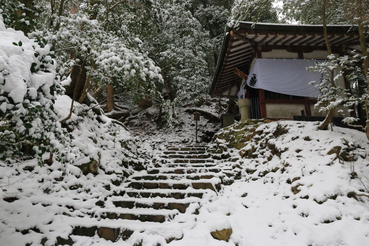 鞍馬寺 ~後編~_e0051888_2253031.jpg
