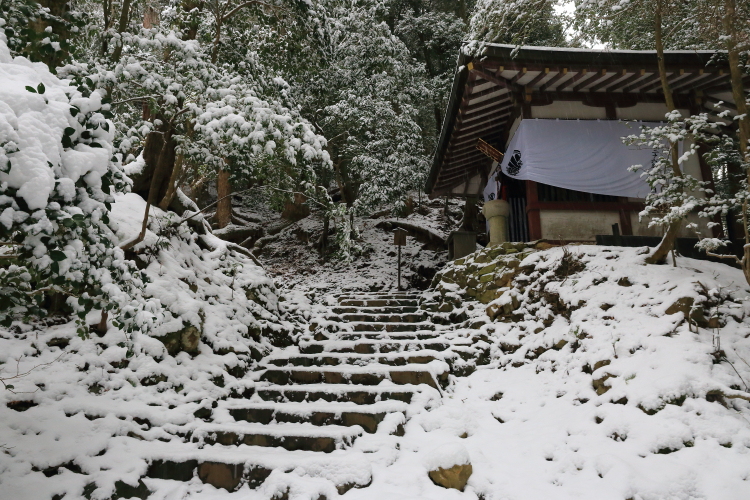 鞍馬寺　～後編～_e0051888_2253031.jpg