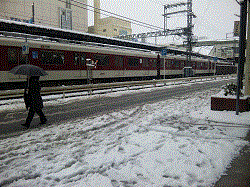 大雪_c0220592_16534630.gif
