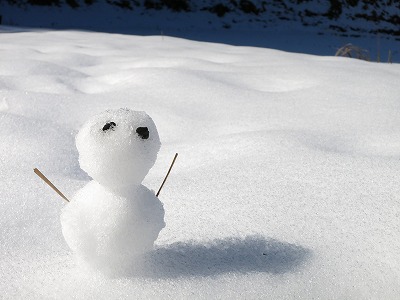 初 雪だるま_c0239901_10362350.jpg