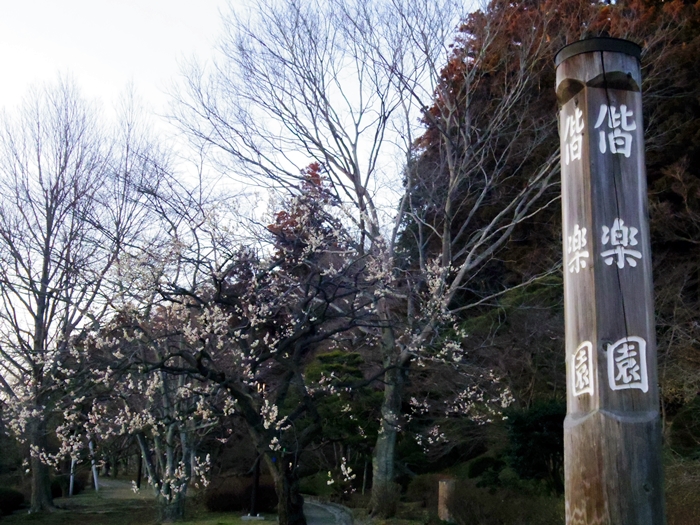 c0187503_22534252.jpg