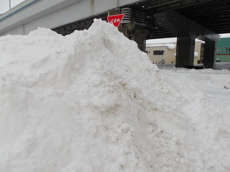 記録的な大雪だった去年に追いついた_c0025115_1817124.jpg