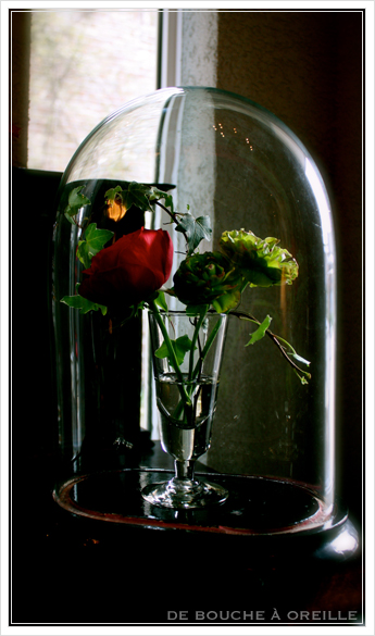 globe en verre アンティークのガラスドーム_d0184921_14334457.jpg
