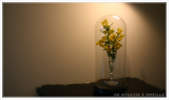 globe en verre アンティークのガラスドーム_d0184921_14543710.jpg
