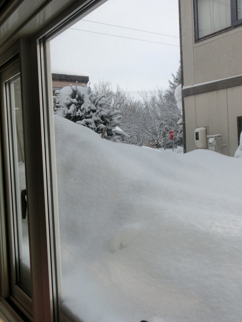 d0136122_9491164.jpg