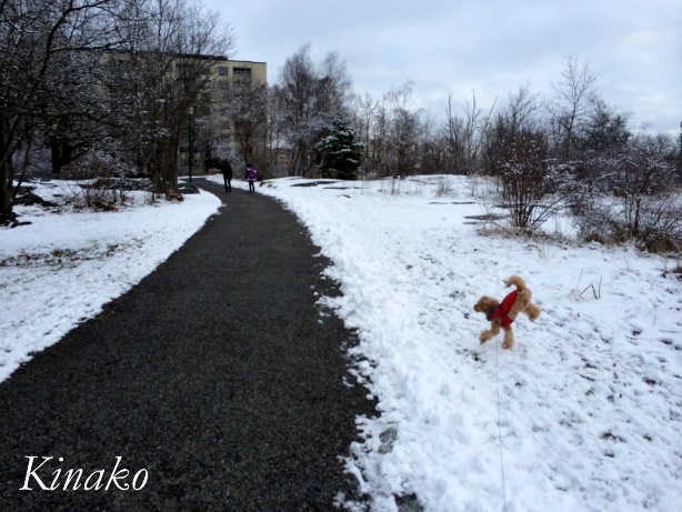 再び雪！　－　Snö, igen!_e0250023_5292232.jpg